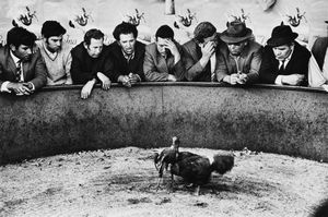 ,Josef Koudelka - Man's relationship with animals