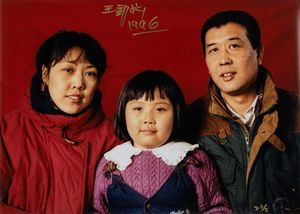 ,Jinsong Wang - Dalla serie Standard Family