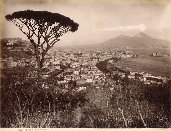 ,Giorgio Sommer : Napoli panorama  - Asta Fotografia dell'800: album di viaggio - Associazione Nazionale - Case d'Asta italiane