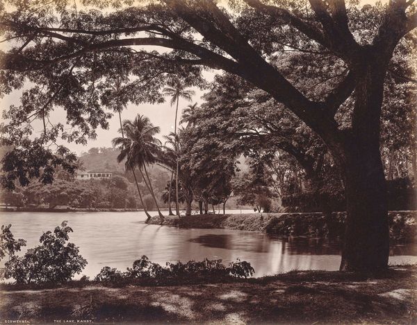 ,Charles Thomas Scowen : The lake, Kandy  - Asta Fotografia dell'800: album di viaggio - Associazione Nazionale - Case d'Asta italiane