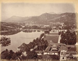 ,William Louis Henry Skeen & Co - Kandy, Ceylon