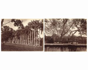 ,William Louis Henry Skeen & Co : Senza titolo (Ceylon)  - Asta Fotografia dell'800: album di viaggio - Associazione Nazionale - Case d'Asta italiane