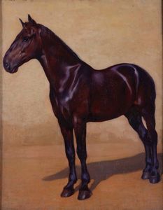 ,Cesare Viazzi - Cavallo scuro