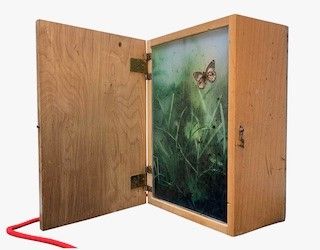 ,Carolina Gavazzi : <BR> Light Vintage Box with Butterflies - Out of The Box XII, 2020 <BR>  - Asta Un'Arca per l'Ucraina | Asta Benefica - Associazione Nazionale - Case d'Asta italiane