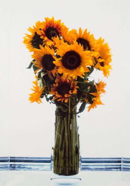 ,MARC QUINN : Frozen sunflowers  - Asta Asta di arte moderna e contemporanea - Associazione Nazionale - Case d'Asta italiane