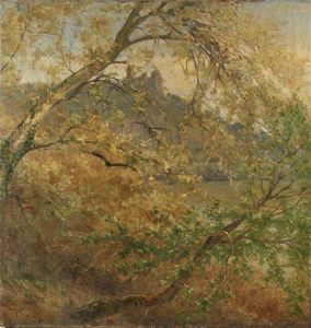 VITALINI FRANCESCO (1865 - 1905) - Paesaggio lagunare con alberi