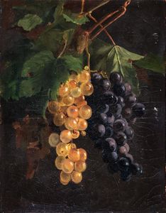 Michelangelo Meucci - Grappoli d'uva.