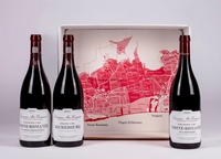 Ingrandisci immagine