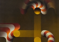 Ingrandisci immagine