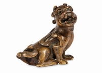 Ingrandisci immagine