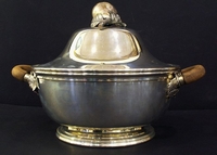 Ingrandisci immagine