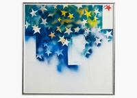 Ingrandisci immagine