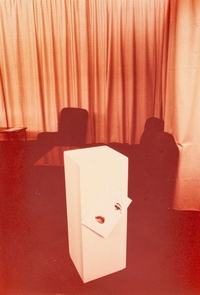 Ingrandisci immagine