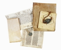 Ingrandisci immagine