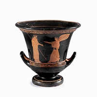 Ingrandisci immagine