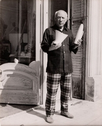 Ingrandisci immagine