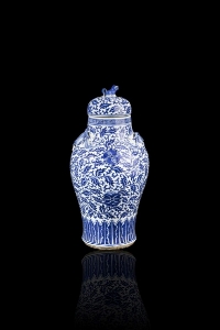 Ingrandisci immagine