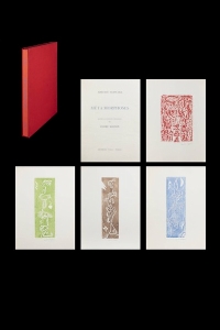 Ingrandisci immagine