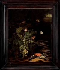 Ingrandisci immagine