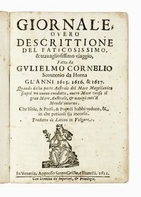 Ingrandisci immagine