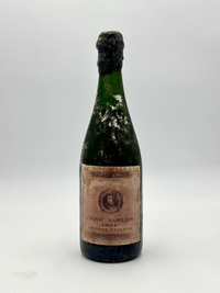 Ingrandisci immagine