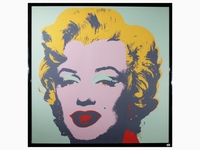 Ingrandisci immagine