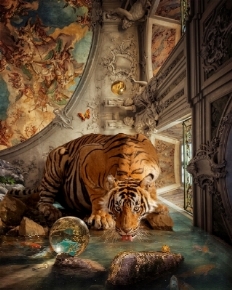 Renaissance Digital Revival